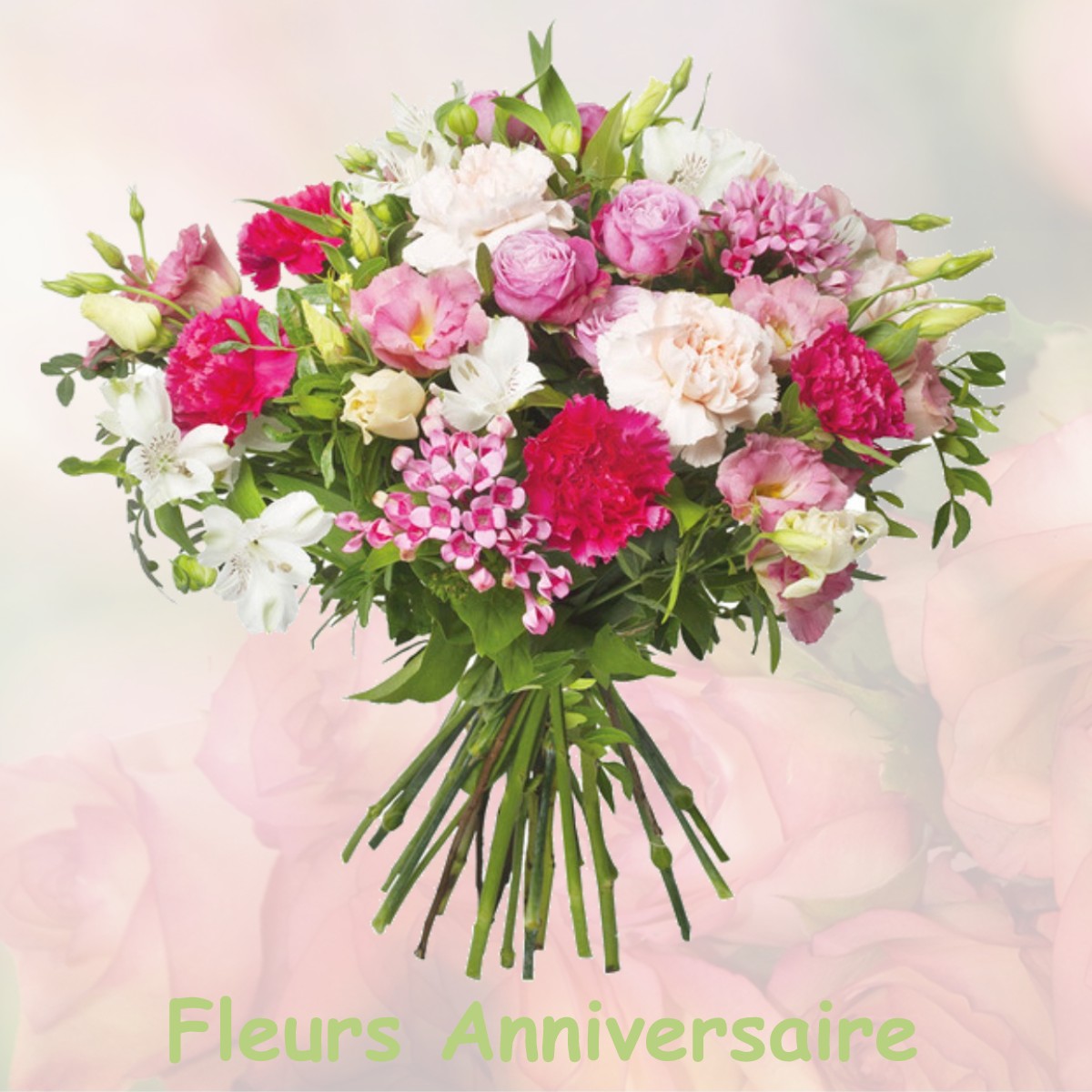 fleurs anniversaire AULNAY-SUR-MARNE